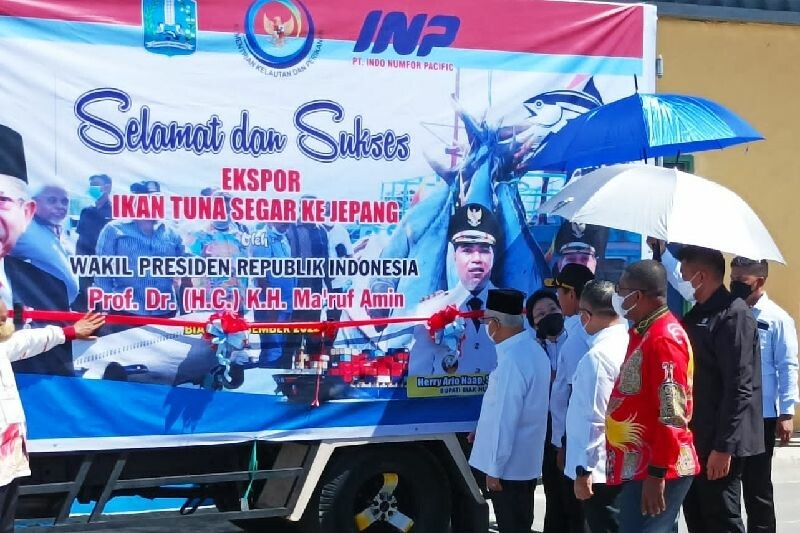Wapres Ma'ruf Amin saat melepas ekspor ikan di Biak yang berlangsung di Unit Pengolahan Ikan (UPI) PT Pelindo Pelabuhan Biak